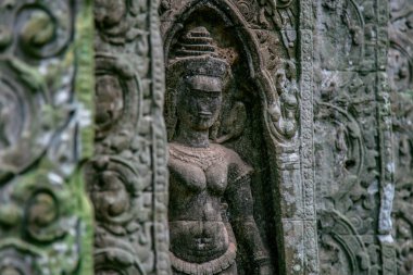 Ta Prohm Angkor Wat Kamboçya. Ta Prohm antik Tapınağı Angkor Wat, Kamboçya nerede orman ağaç köklerinin gerçeküstü dünya üreten bu antik yapıların Duvar ile iç içe.
