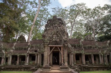 Ta Prohm Angkor Wat Kamboçya. Ta Prohm antik Tapınağı Angkor Wat, Kamboçya nerede orman ağaç köklerinin gerçeküstü dünya üreten bu antik yapıların Duvar ile iç içe.