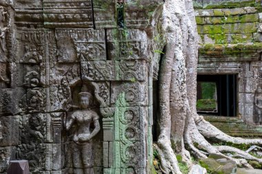 Ta Prohm Angkor Wat Kamboçya. Ta Prohm antik Tapınağı Angkor Wat, Kamboçya nerede orman ağaç köklerinin gerçeküstü dünya üreten bu antik yapıların Duvar ile iç içe.