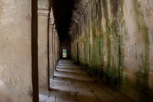 Prohm Angkor Wat Kambodja Det Antika Templet Prohm Angkor Wat — Stockfoto