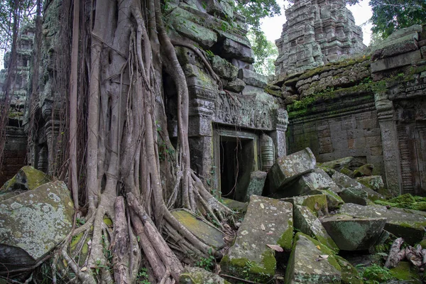 Prohm Angkor Wat Camboja Antigo Templo Prohm Angkor Wat Camboja — Fotografia de Stock