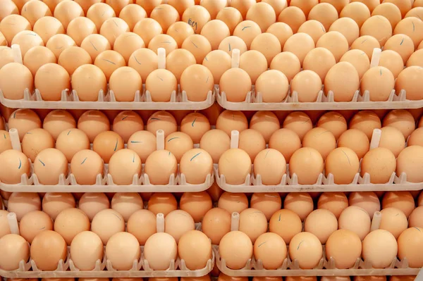 Πολλά Αυγά Στο Δίσκο Από Τους Κτηνοτρόφους Για Την Επιλογή — Φωτογραφία Αρχείου