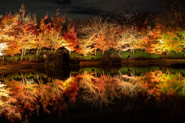 Maple Tree Krajobraz Japonia Jesień Parki Nazwę Nabana Nie Sato — Zdjęcie stockowe