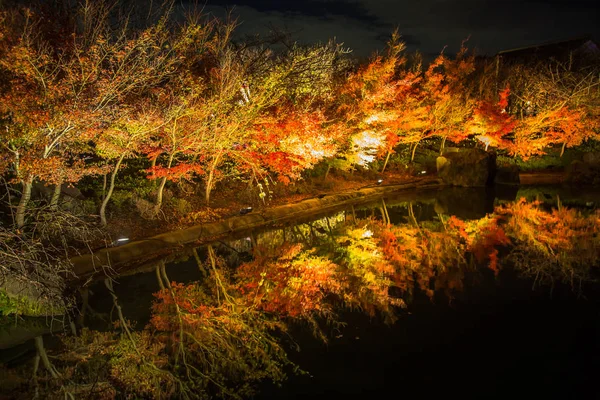 Maple Tree on Landscape of Japan Autumn parks name \