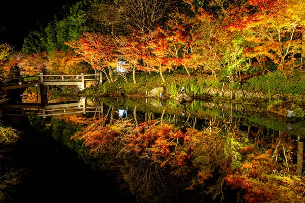 Maple Tree on Landscape of Japan Autumn parks name \