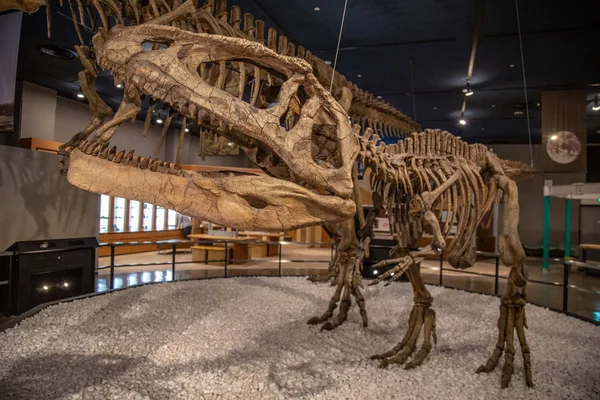 Nagoya Museum Japão Dezembro 2018 Dentro Museu Ciência Cidade Nagoya — Fotografia de Stock