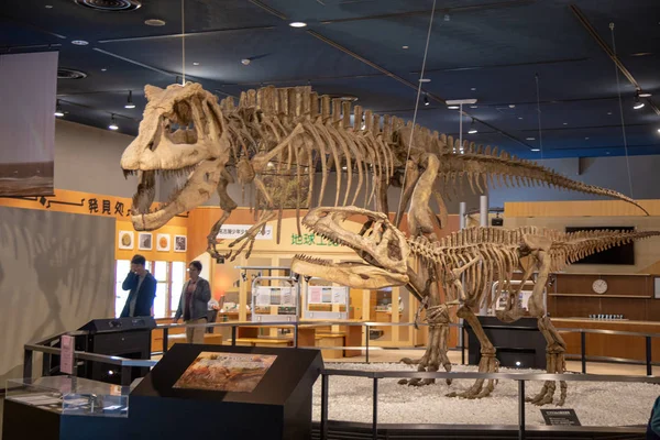 Nagoya Museum Japão Dezembro 2018 Dentro Museu Ciência Cidade Nagoya — Fotografia de Stock