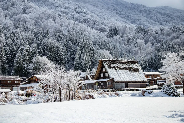 Shirakawa Pueblo Invierno Incluyendo Estilo Tradicional Casa Gassho Uno Los — Foto de Stock