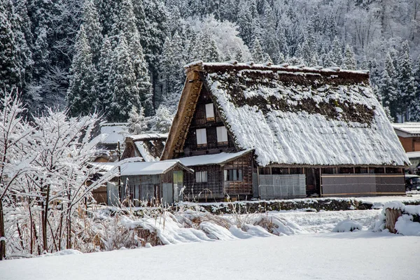 Shirakawa Dorf Winter Mit Traditionellem Haus Gassho Stil Und Einem — Stockfoto