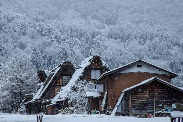 Shirakawa Pueblo Invierno Incluyendo Estilo Tradicional Casa Gassho Uno Los — Foto de Stock