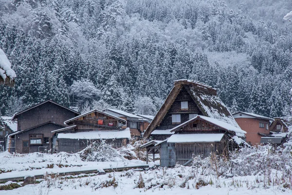 Shirakawa Dorf Winter Mit Traditionellem Haus Gassho Stil Und Einem — Stockfoto