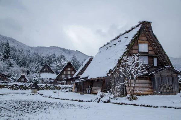 Shirakawa Pueblo Invierno Incluyendo Estilo Tradicional Casa Gassho Uno Los — Foto de Stock