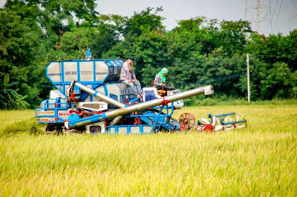 Sielskie Krajobrazy Tajlandia Marzec 2019 Unidentify Rolników Jazdy Samochód Harvester — Zdjęcie stockowe