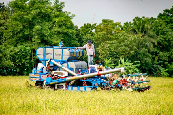 Campo Tailandia Marzo 2019 Identifican Los Agricultores Que Conducen Automóviles — Foto de Stock