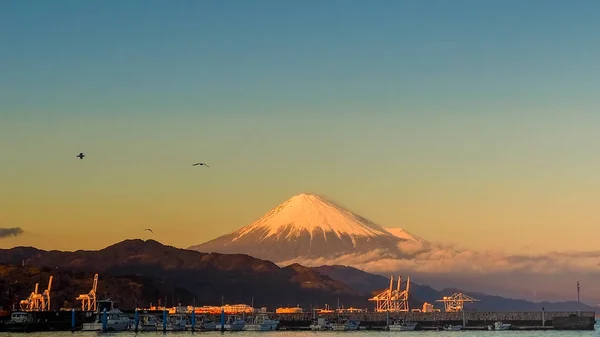 Gaviota Vuela Monte Fondo Fuji Dream Ferry Mini Cruise Que — Foto de Stock