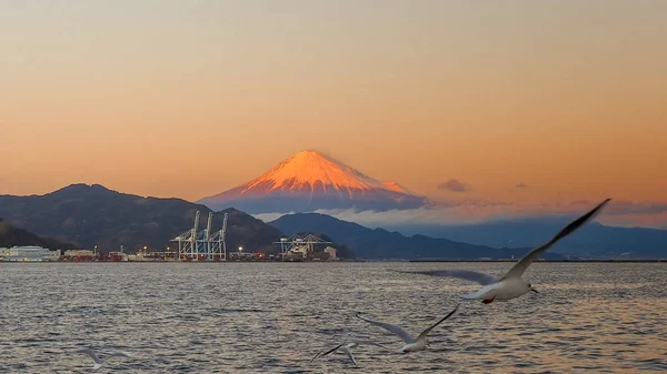 Fuji Dream Ferry Mini Cruise Viajando Desde Lago Hamanako Shizuoka — Foto de Stock