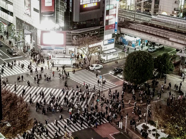 2018 夜にクロス通りを歩いている観光客との空中眺めからの渋谷の交差 日本の目的地の一つ 白黒写真 — ストック写真