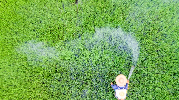 Actividad Del Agricultor Con Rociador Mochila Rociar Insecticida Granja Arroz — Foto de Stock