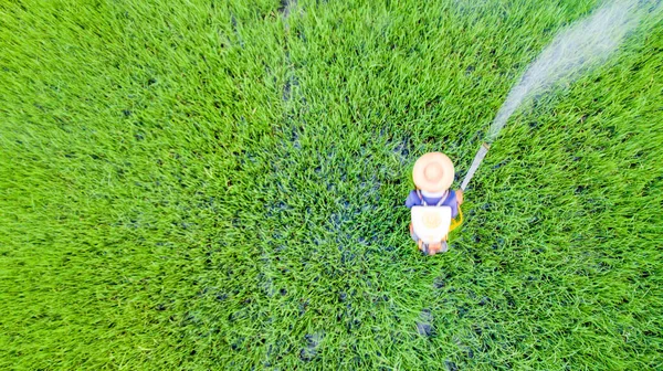 Actividad Del Agricultor Con Rociador Mochila Rociar Insecticida Granja Arroz — Foto de Stock