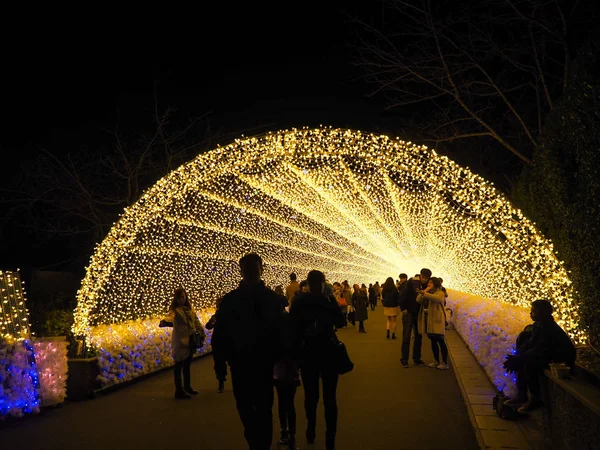 Nagoya Japan December 2018 Giant Led Ljus Tunneln Den Berömda — Stockfoto