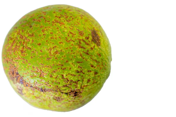 Avocado Fruit Persea Americana Geïsoleerde Witte Achtergrond Als Pakket Ontwerpelement — Stockfoto
