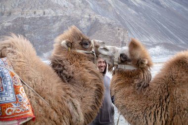 Nubra Vadisi, Jammu ve Kashmir, Ladakh Bölgesi, Tibet, Hindistan - Nisan 2019: Kimliği belirsiz bir grup turist gün batımı sahnesiyle birlikte Nubra 'nın kum tepeciklerini ziyarete geliyor.