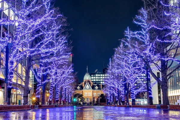 Belysning Ljus Dekoration Natten Vacker Arkitektur Före Detta Hokkaido Regeringskontor — Stockfoto