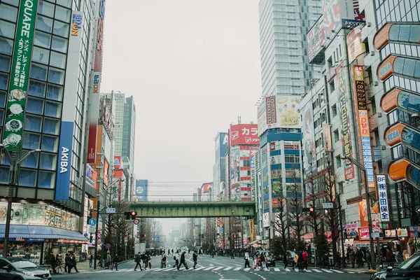 Krásný Výhled Hory Fuji Chureito Pagoda Fujiyoshida Japonsko Zpětná Vazba — Stock fotografie