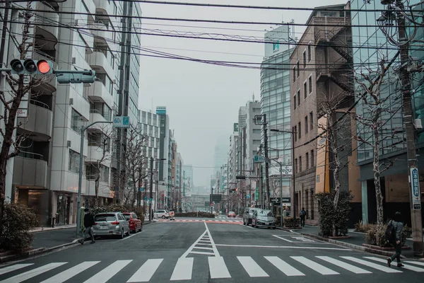 Tokyo Japan Februari 2020 Neonljus Och Reklamskyltar Byggnader Akihabara Regniga — Stockfoto