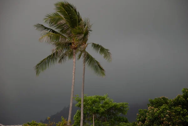 Avuç içi tropikal fırtına