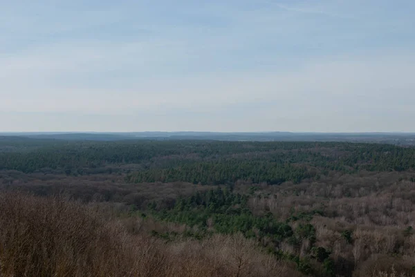 Kış sezonu ormanda güzel manzarasını yukarıdan