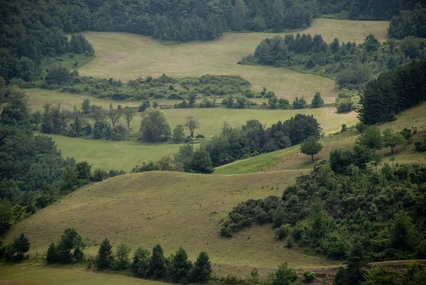 Κυματιστές Γραμμές Στην Πλευρά Του Λόφου Πράσινη Σκιές Στο Λόφο — Φωτογραφία Αρχείου