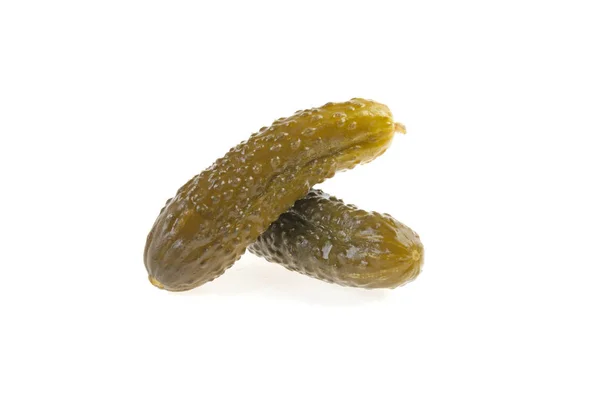 Yonca pratense, beyaz bir arka plan üzerinde alan çiçek