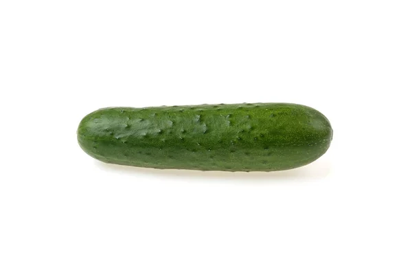 Verse Groene Komkommer Een Witte Achtergrond — Stockfoto