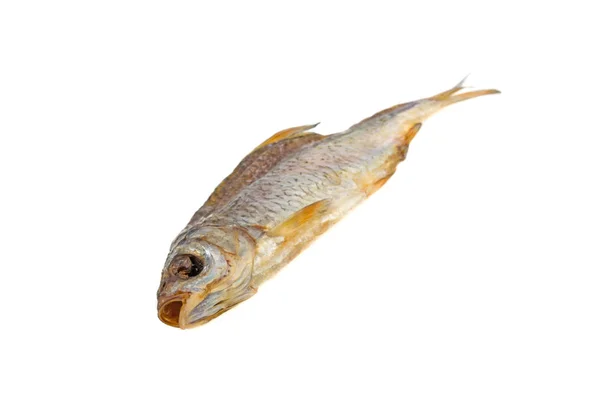 Gardon Poisson Séché Sur Fond Blanc — Photo