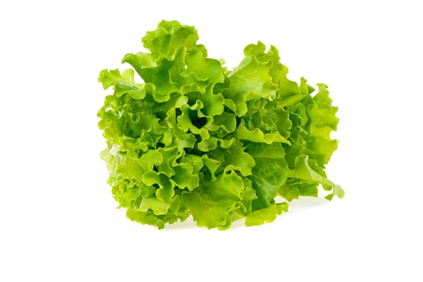 Groene Salade Bladeren Witte Achtergrond — Stockfoto