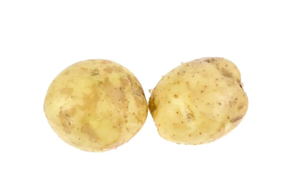 Twee Jonge Aardappelen Een Witte Achtergrond — Stockfoto