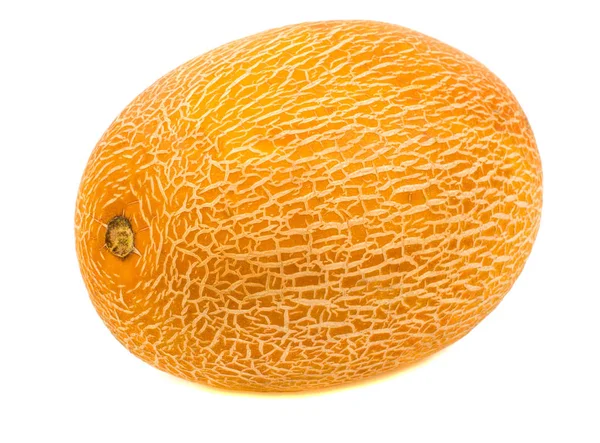 Meloni Valkoisella Pohjalla — kuvapankkivalokuva