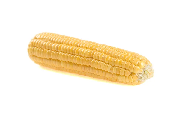 Corn White Background — Stock Photo, Image