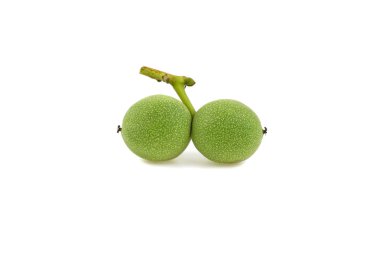 beyaz zemin üzerine yeşil kabuklu ceviz