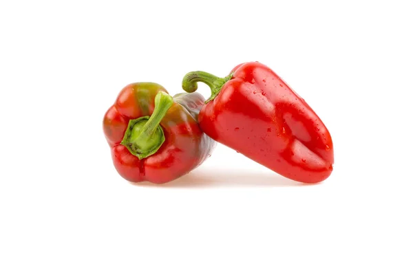 Colored Sweet Pepper White Background — Stock Photo, Image