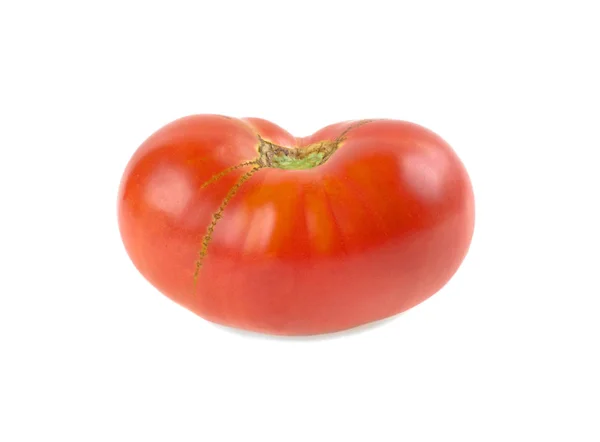 Tomate Suculento Vermelho Fundo Branco — Fotografia de Stock