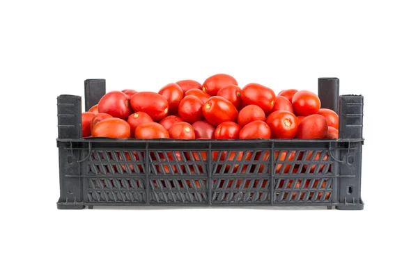 Sebzeli, siyah plastik kutu beyaz bir arka plan üzerinde izole Olgun kırmızı domates