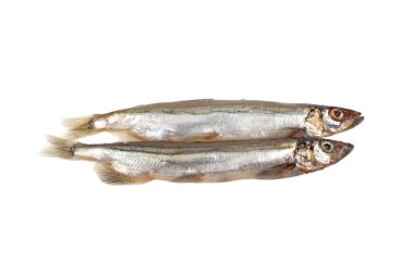 Beyaz arka plan üzerinde izole deniz balık capelin