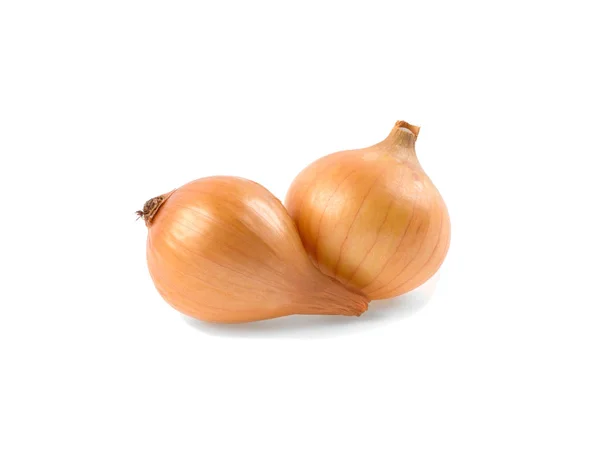 Onion Vegetable Isolated White Background Stock Image