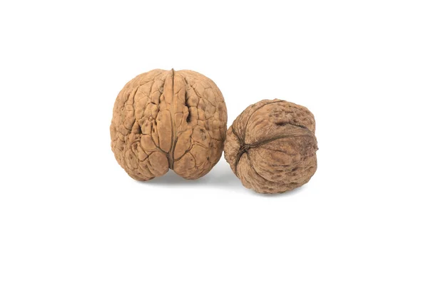 Nueces Aisladas Sobre Fondo Blanco — Foto de Stock