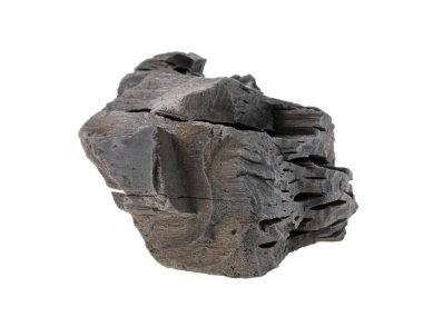 Beyaz arka planda katı ahşap kömür, izole.