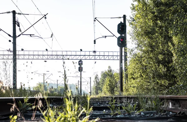 Tren istasyonu. Orman istasyonu. Eski demiryolu. Teller demiryolu.