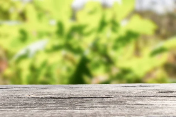 Table in nature forest. Background wood table. Wooden table with