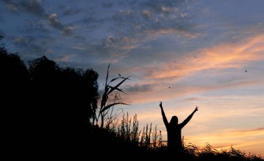 Gün batımının arka planında ellerini kaldırmış bir kızın karanlık silueti. Ağaçların, ormanın ve tarlanın arkasında, gökyüzündeki turuncu günbatımı. Kız özgürlüğün, hayatın, anın tadını çıkarıyor..